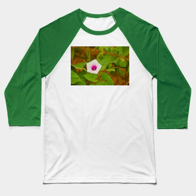 blla sweet potato Baseball T-Shirt by pcfyi